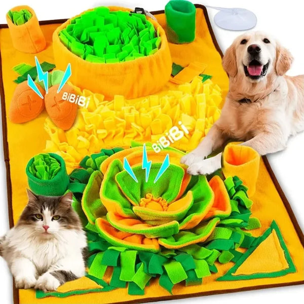 Mori — Tapis de fouille